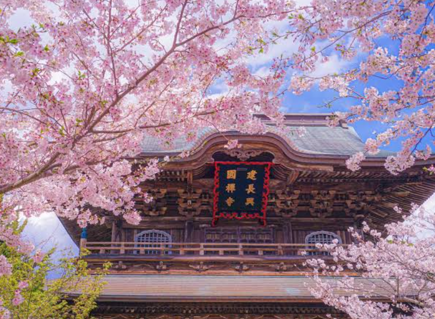 Viaje a Japón en Semana Santa, especial Sakura