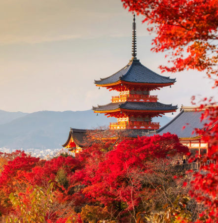 Viaje a Japón en noviembre, especial Momiji
